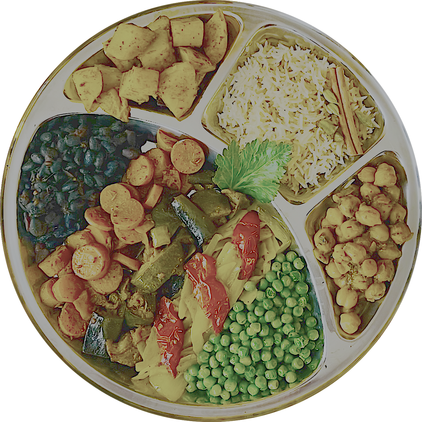thali3 vegetarien-beaune